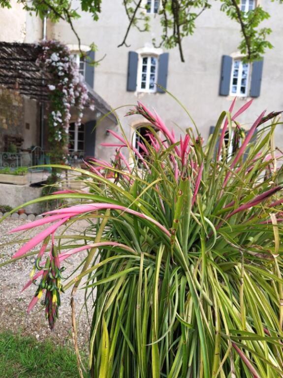 Domaine De Capoulade Bed and Breakfast Ναρμπόν Εξωτερικό φωτογραφία