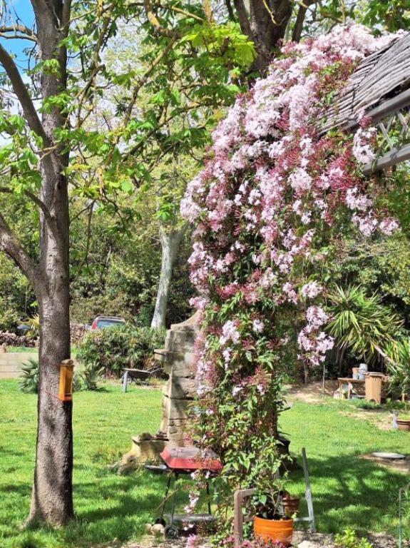 Domaine De Capoulade Bed and Breakfast Ναρμπόν Εξωτερικό φωτογραφία